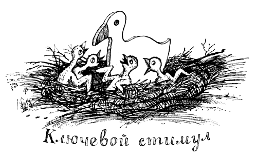 Поведение животных