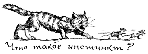 Поведение животных