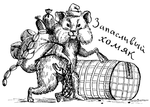 Поведение животных