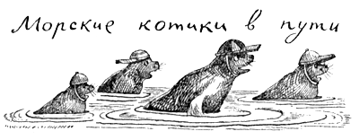 Поведение животных