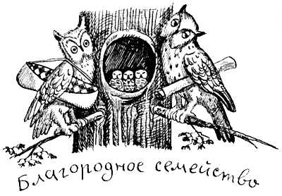 Поведение животных