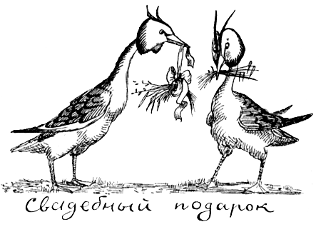 Поведение животных