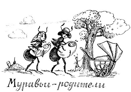 Поведение животных