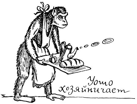 Поведение животных