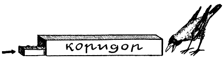 Поведение животных