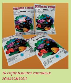 Луковичные растения