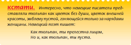 Луковичные растения
