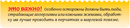 Луковичные растения