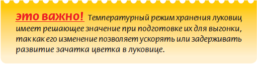 Луковичные растения