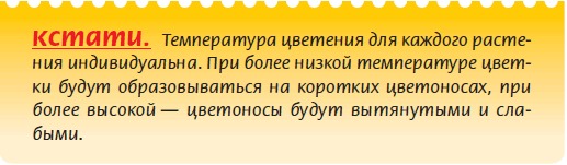 Луковичные растения