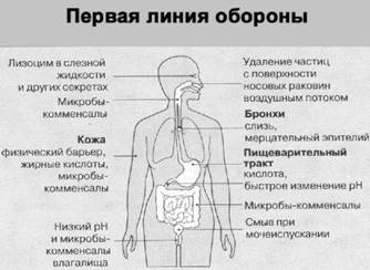 Имя ему СПИД: Четвертый всадник Апокалипсиса