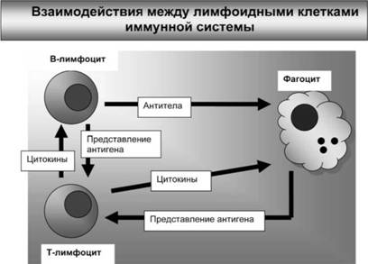 Имя ему СПИД: Четвертый всадник Апокалипсиса