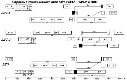 Имя ему СПИД: Четвертый всадник Апокалипсиса