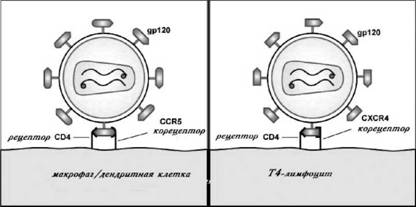 Имя ему СПИД: Четвертый всадник Апокалипсиса