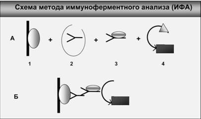 Имя ему СПИД: Четвертый всадник Апокалипсиса