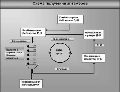 Имя ему СПИД: Четвертый всадник Апокалипсиса