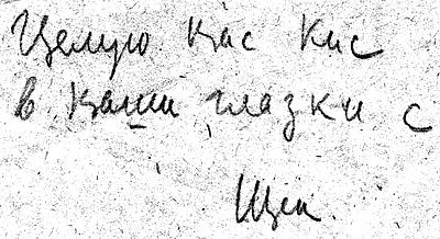Пристрастные рассказы