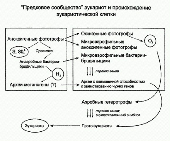 Рождение сложности: Эволюционная биология сегодня