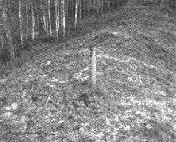 Чернобыль, Припять, далее нигде…