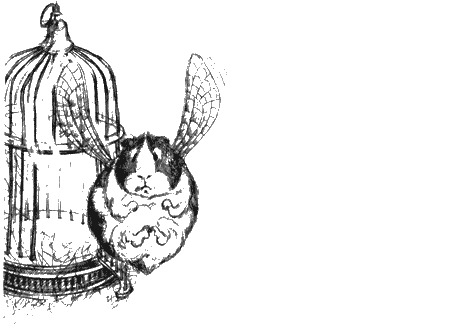Цветник бабушки Корицы