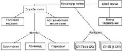 Самоходки Сталина. История советской САУ 1919 – 1945