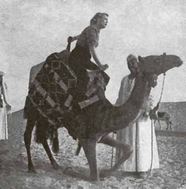 Тайны парижских манекенщиц (сборник)