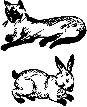 Дарвинизм в XX веке
