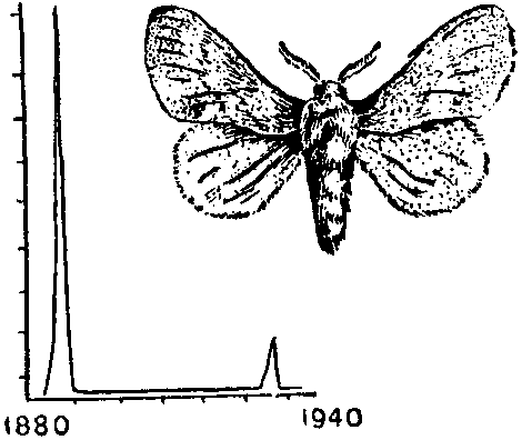 Дарвинизм в XX веке