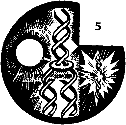 Дарвинизм в XX веке