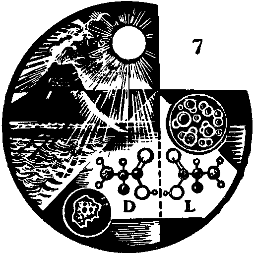 Дарвинизм в XX веке