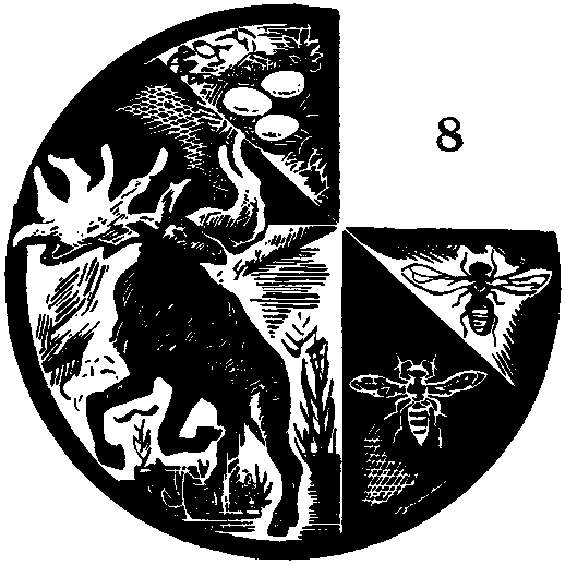Дарвинизм в XX веке