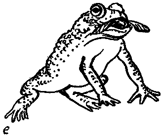 Дарвинизм в XX веке