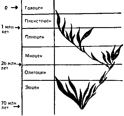 Дарвинизм в XX веке