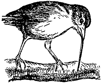 Дарвинизм в XX веке