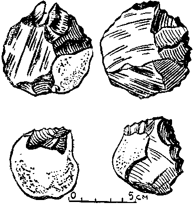 Дарвинизм в XX веке