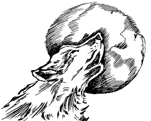 Біле Ікло (Збірник)