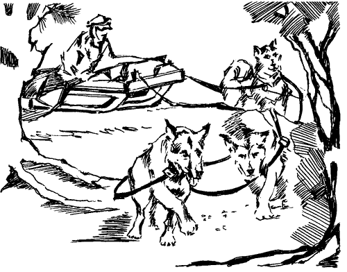 Біле Ікло (Збірник)