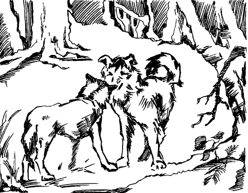 Біле Ікло (Збірник)