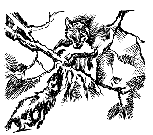 Біле Ікло (Збірник)