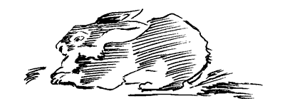 Біле Ікло (Збірник)