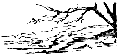 Біле Ікло (Збірник)