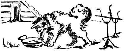 Біле Ікло (Збірник)
