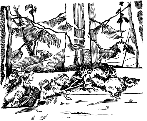 Біле Ікло (Збірник)