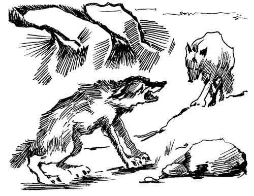 Біле Ікло (Збірник)