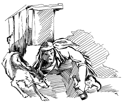 Біле Ікло (Збірник)