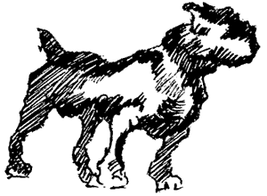Біле Ікло (Збірник)