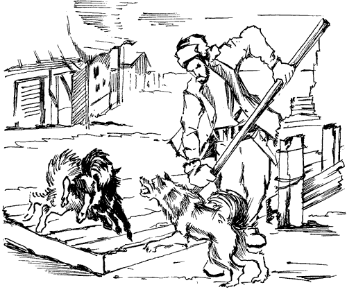 Біле Ікло (Збірник)