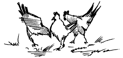 Біле Ікло (Збірник)