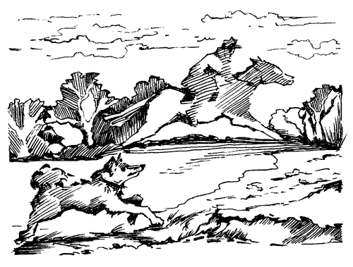 Біле Ікло (Збірник)