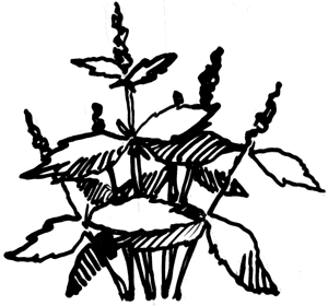 Климко (збірка)